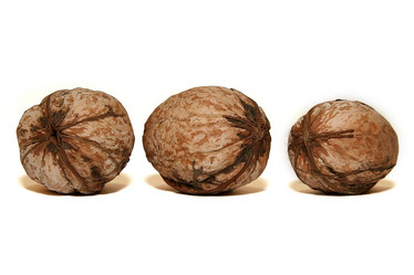 Similar image 364650