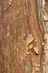 Similar image 364657