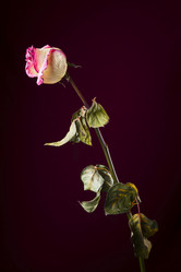 Similar image 364800