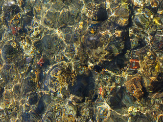 Similar image 364813