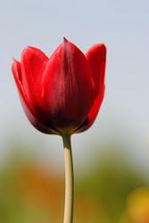 Similar image 364826