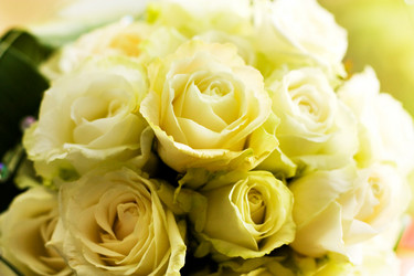 Similar image 365007