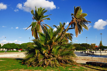 Similar image 365017