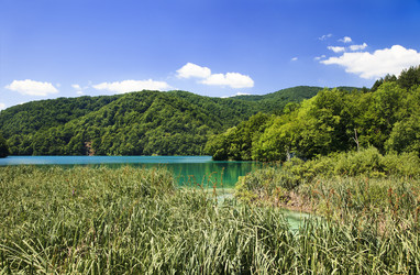 Similar image 365034