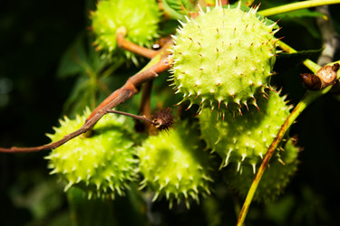 Similar image 365125