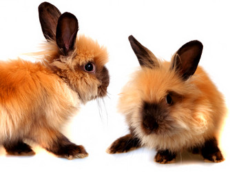 Similar image 365127