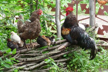 Similar image 365142