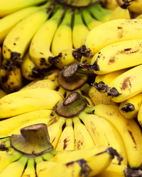 Similar image 365147