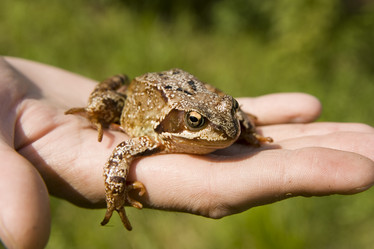 Similar image 365148