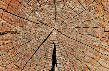 Similar image 365180