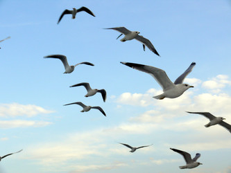 Similar image 365213