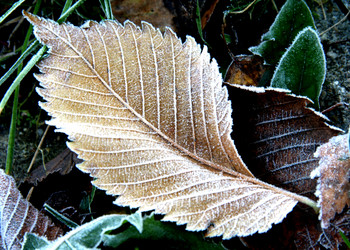 Similar image 365220