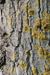 Similar image 365296