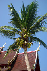 Similar image 365352