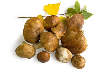 Similar image 365428