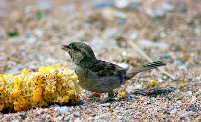 Similar image 365448