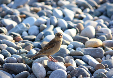 Similar image 365469