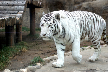 Similar image 365485