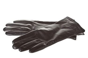 Similar image 365502