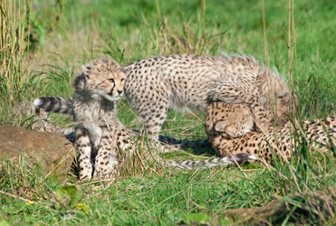 Similar image 365523