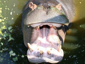 Similar image 365546