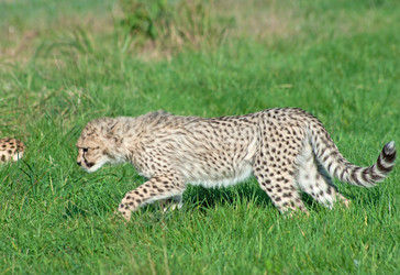 Similar image 365556