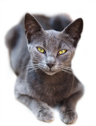 Similar image 365557