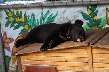 Similar image 365612