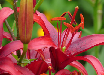 Similar image 365615