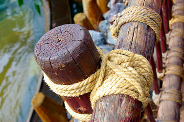 Similar image 365618