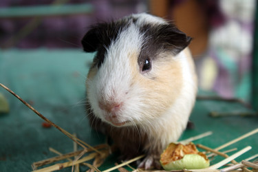 Similar image 365620