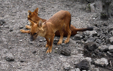 Similar image 365624