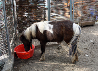 Similar image 365633