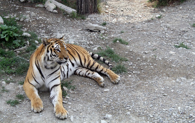 Similar image 365639