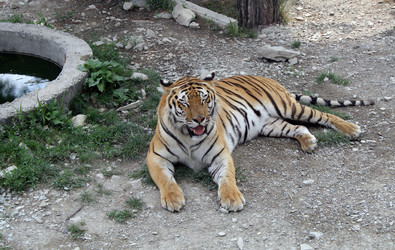 Similar image 365641