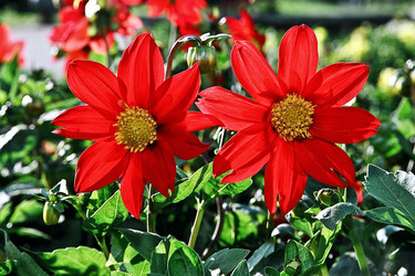 Similar image 365685