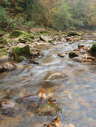 Similar image 365701