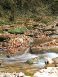 Similar image 365706