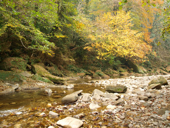 Similar image 365711