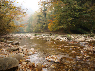 Similar image 365715