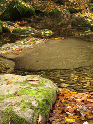 Similar image 365723