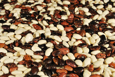 Similar image 365739