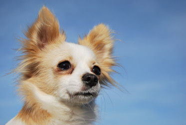 Similar image 365744