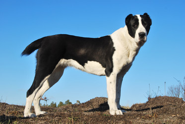 Similar image 365746