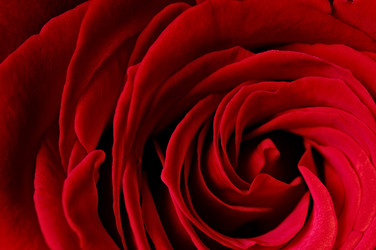 Similar image 365760