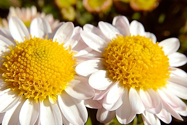 Similar image 365771