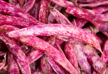 Similar image 365782