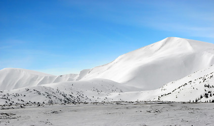 Similar image 365803