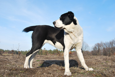 Similar image 365813