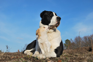 Similar image 365821